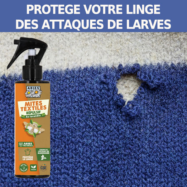 Protéger votre linge des attaques de larves de mites des vêtements