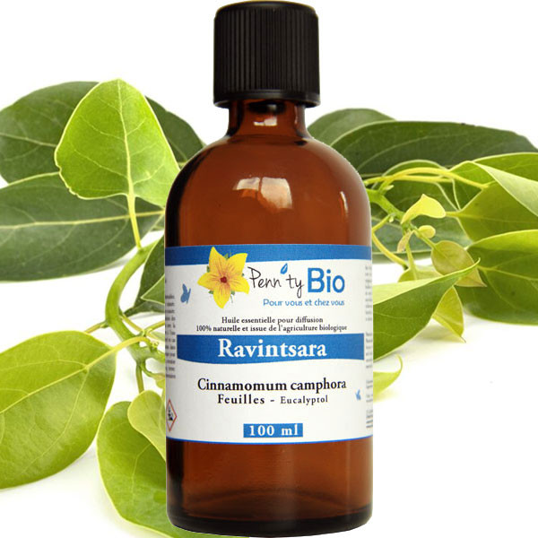 Ravintsara Bio - Feuilles - Huile essentielle Penntybio 100 ml