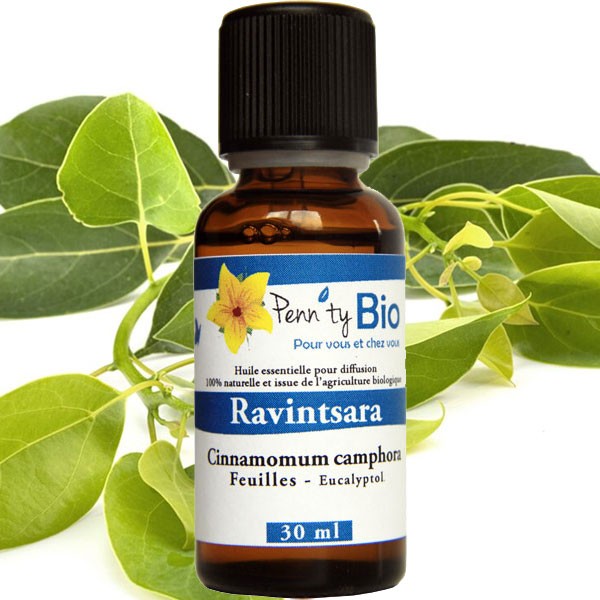 Ravintsara Bio - Feuilles - Huile essentielle Penntybio 30 ml