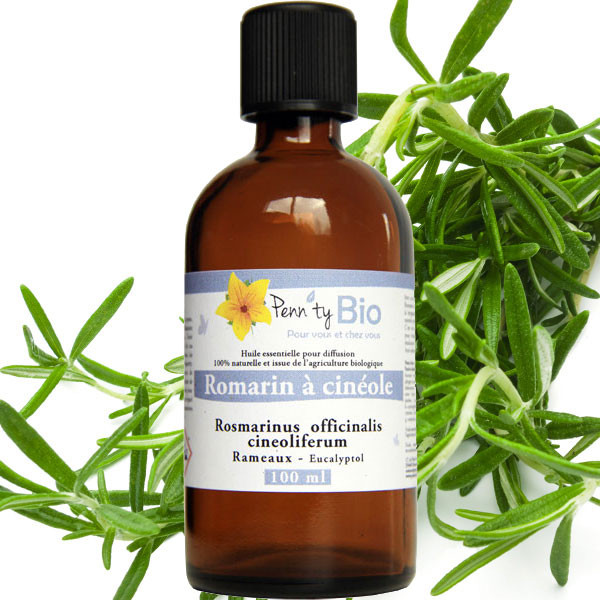 Romarin à Cinéole Bio - Rameaux - Huile essentielle