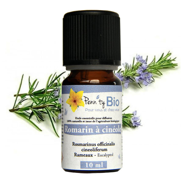 Romarin à Cinéole Bio - Rameaux - Huile essentielle Penntybio 10 ml