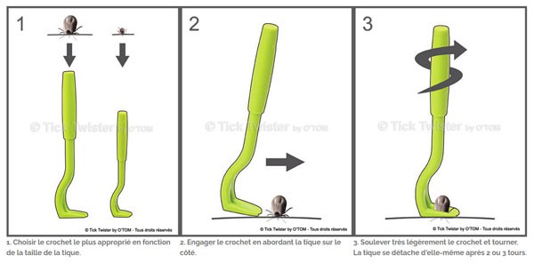 Comment utiliser ce crochet anti-tique ?