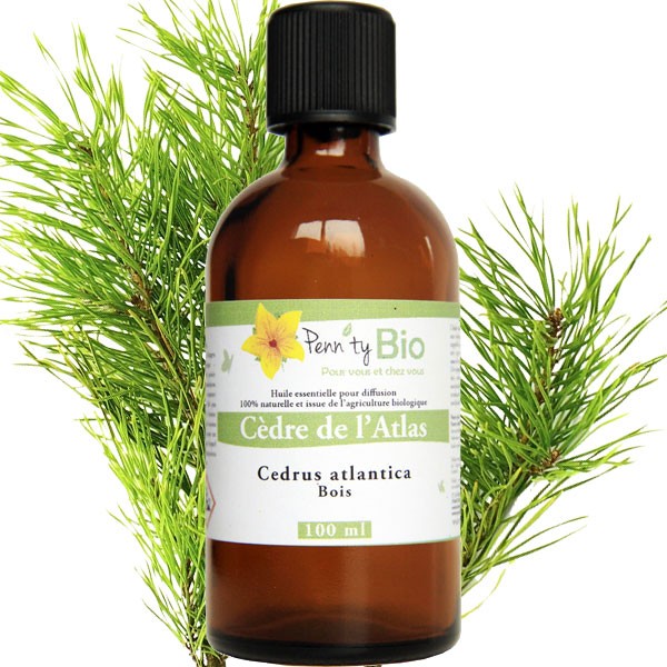 Cèdre Atlas Bio - Bois - Huile essentielle Penntybio - 100 ml