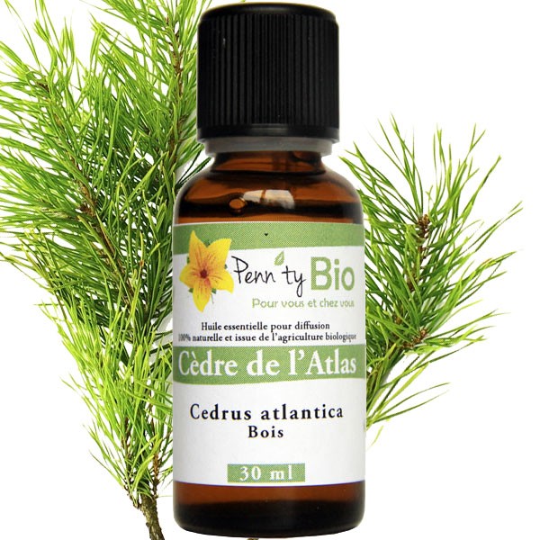 Cèdre Atlas Bio - Bois - Huile essentielle Penntybio - 30 ml