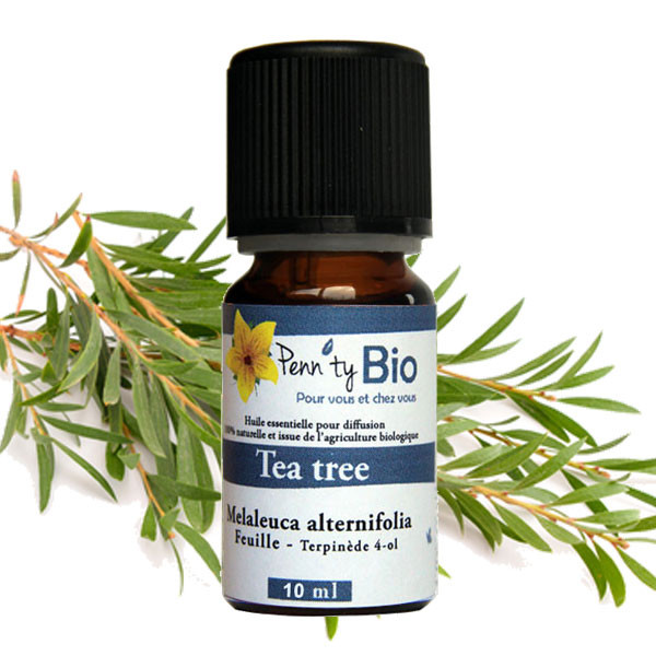 Tea tree Bio - Feuille - Huile essentielle Penntybio 10 ml
