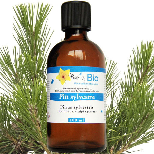 Pin sylvestre Bio - rameaux - Huile essentielle Penntybio 100 ml