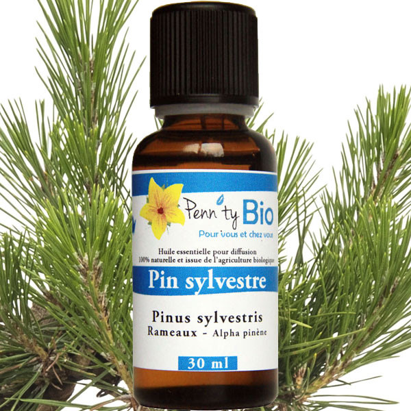 Pin sylvestre Bio - rameaux - Huile essentielle Penntybio 30 ml