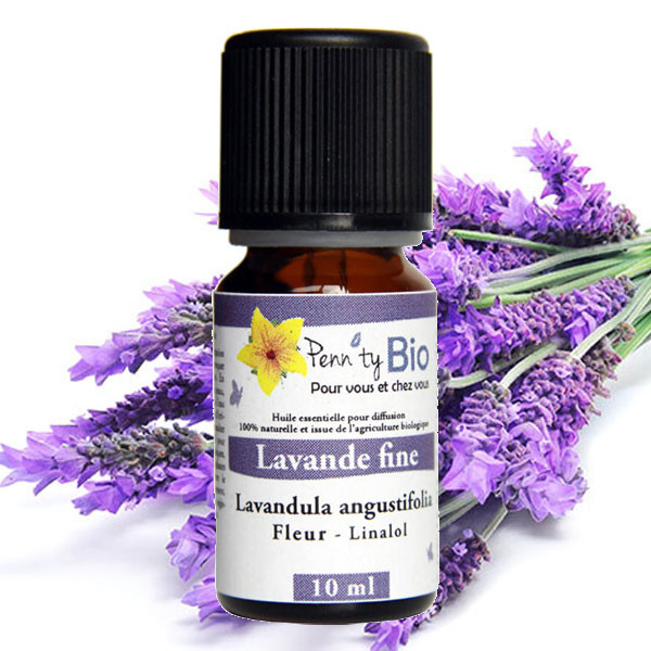 Lavande Bio - Plante fleurie - Huile essentielle Penntybio 10 ml