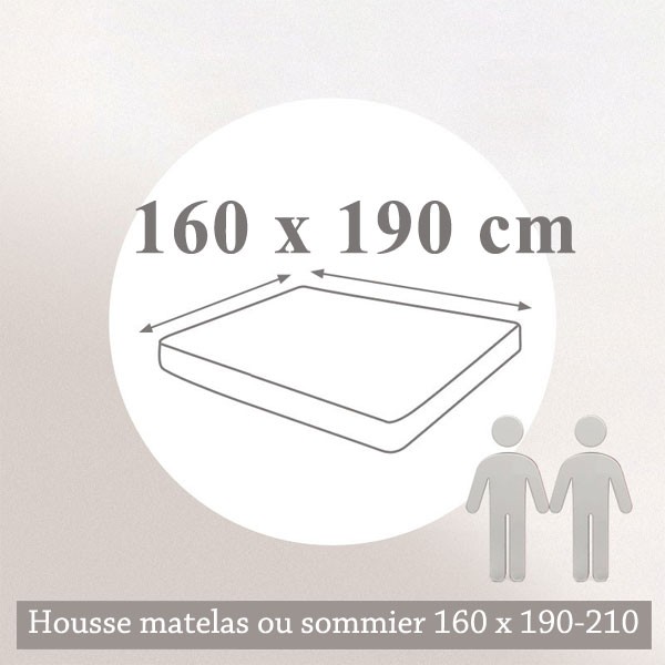 Housse de protection anti punaises de lit 160 x 190-210