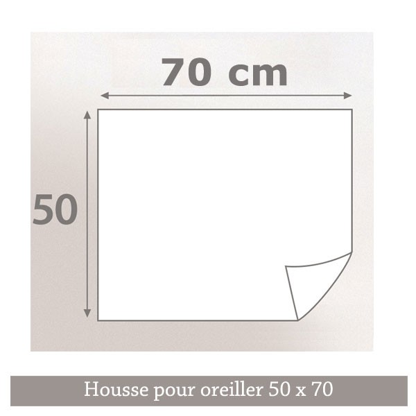 Housse de protection anti punaises de lit 50 x 70