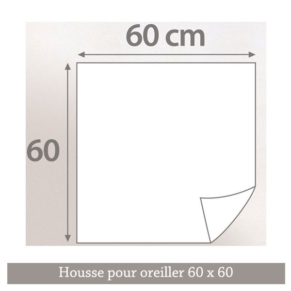 Housse de protection anti punaises de lit 60 x 60
