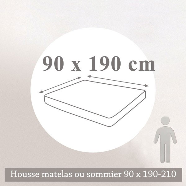 Housse de protection anti punaises de lit 90 x 190-210