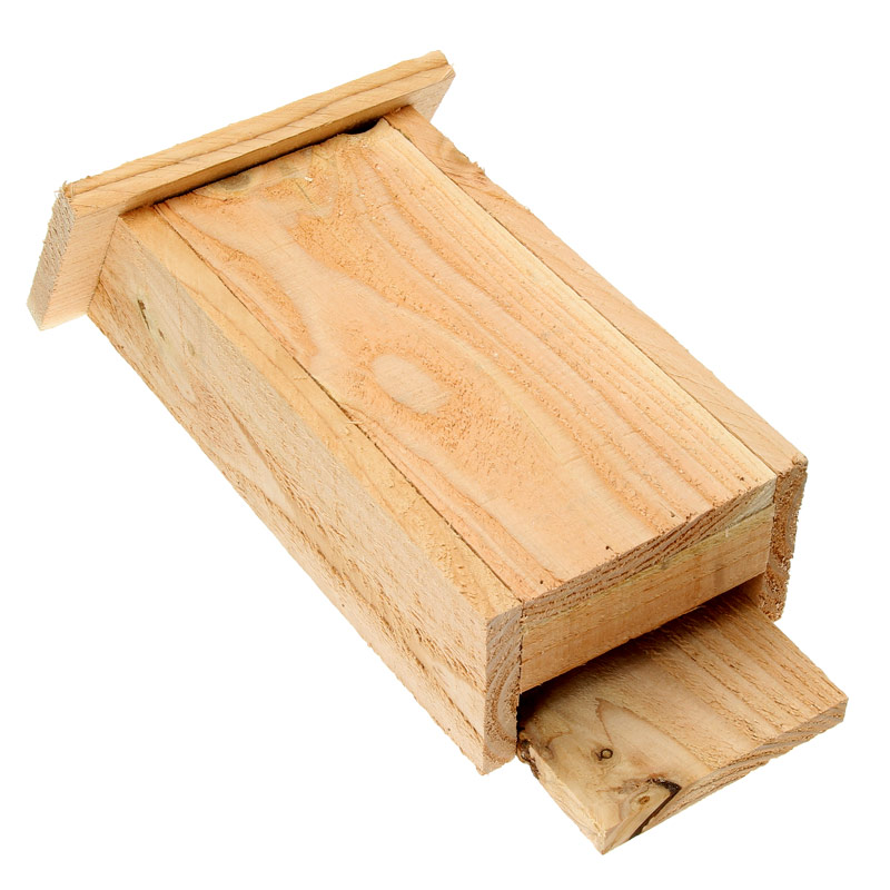 Abri chauve souris - 2