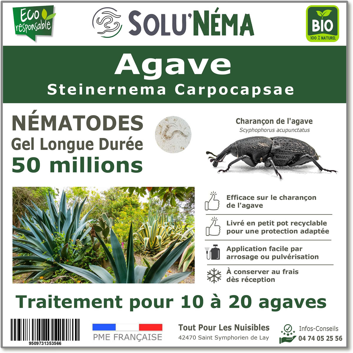 Nématode SC - 5 millions - 10 à 20 agaves