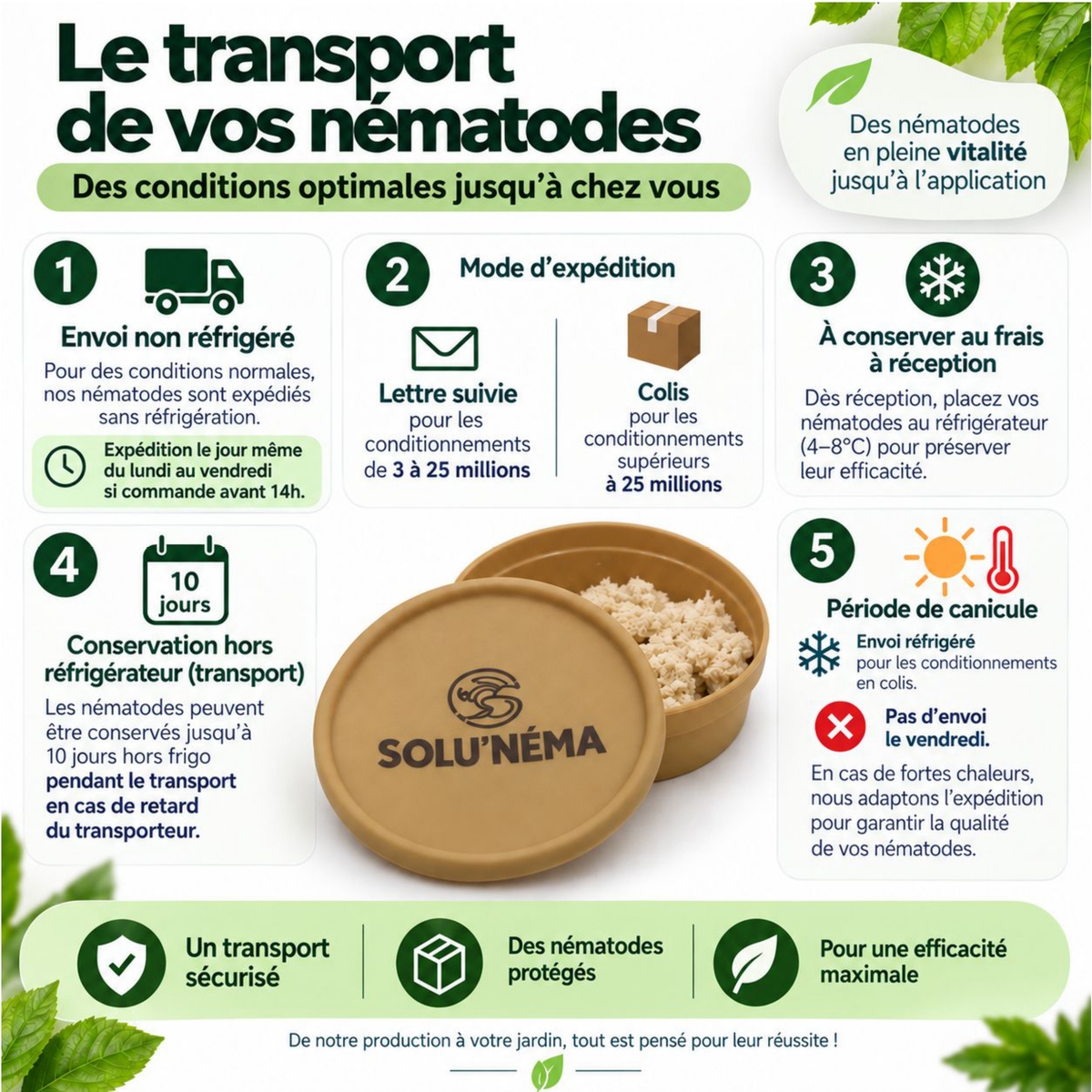Transport des nématodes