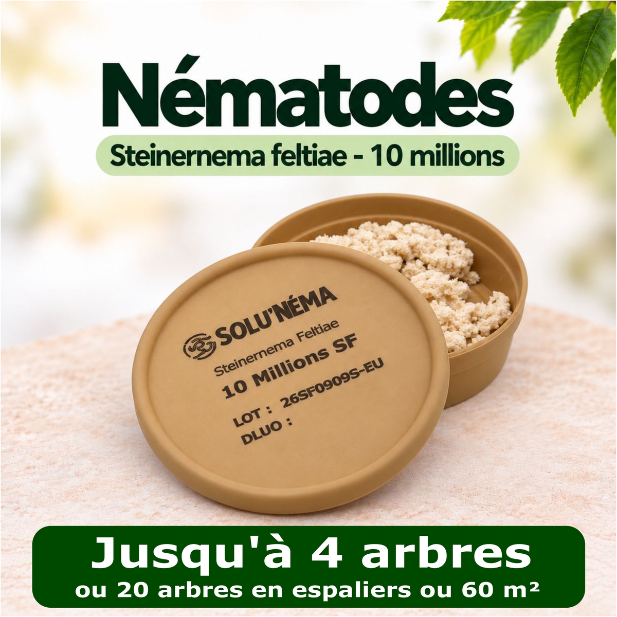 Traitement Carpocapse pomme, poires et noix - 10 millions Nématodes SF - Conditionnement et dosage