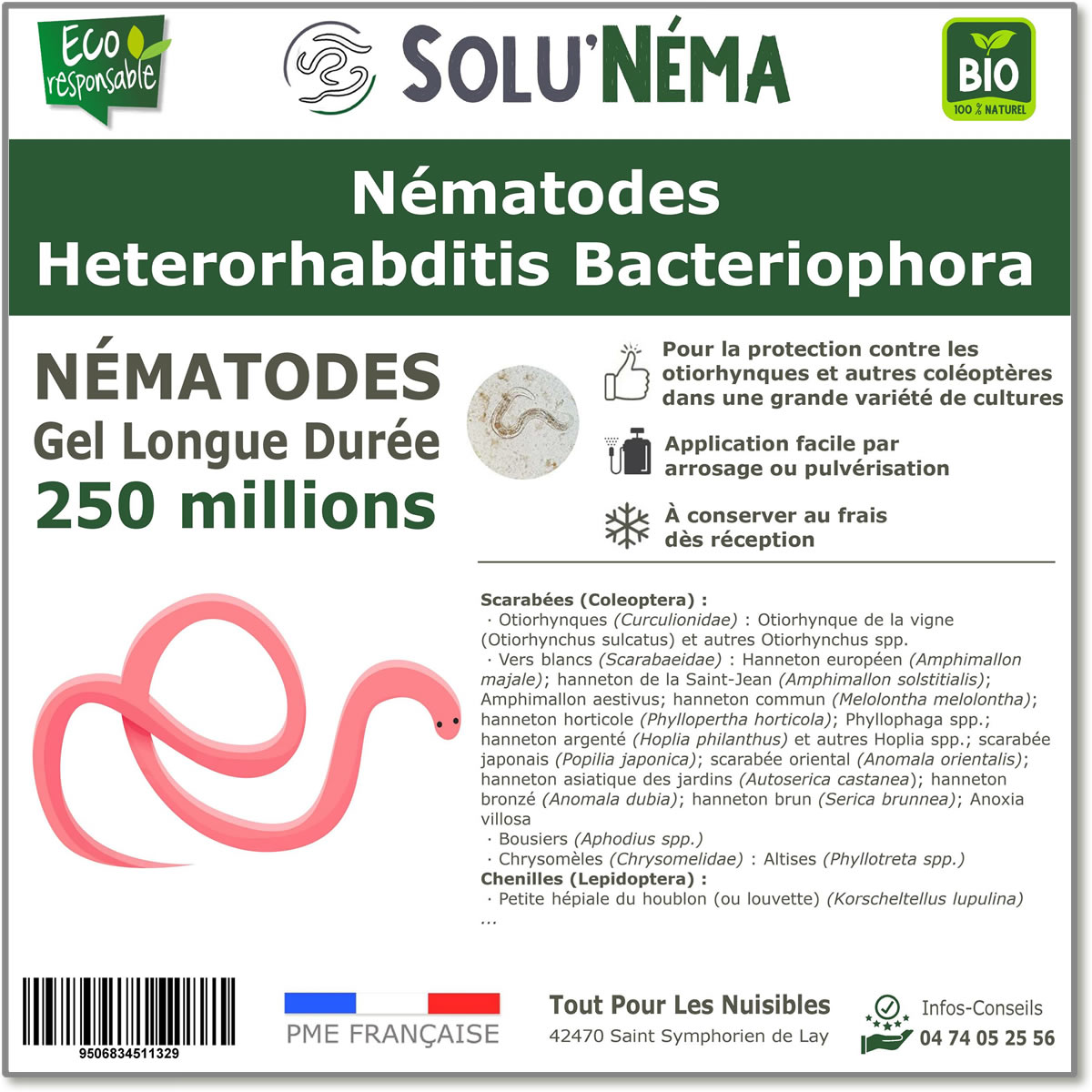 250 Millions de nématodes Heterorhabditis Bacteriophora (HB)