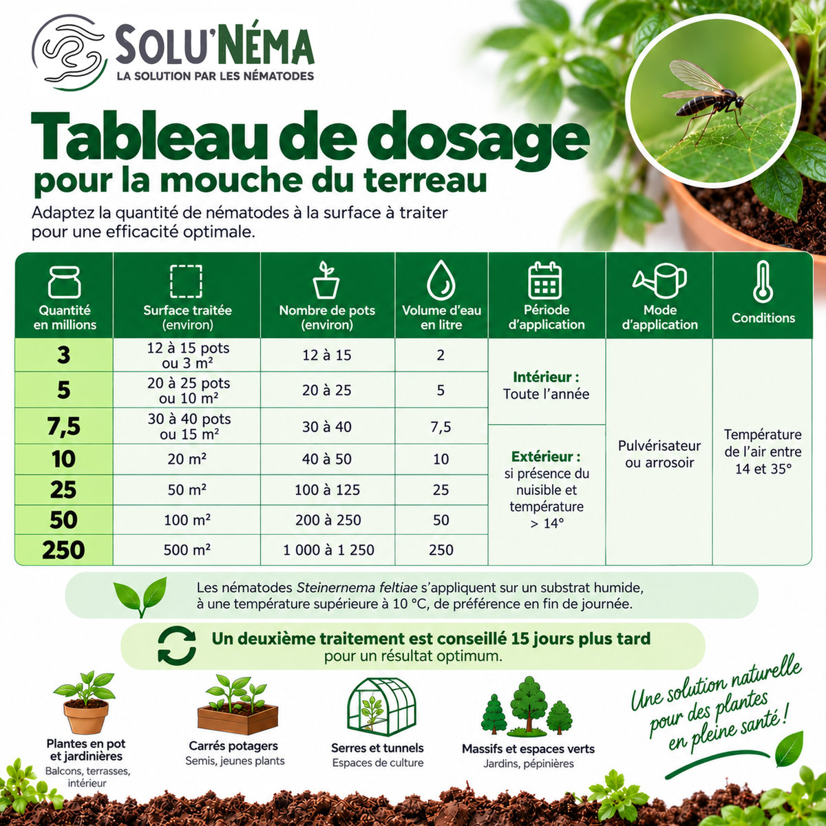 Dosage Nématodes SF Mouches du terreau