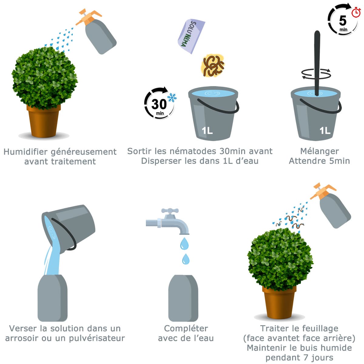 Schema traitement nematode pyrale buis SC