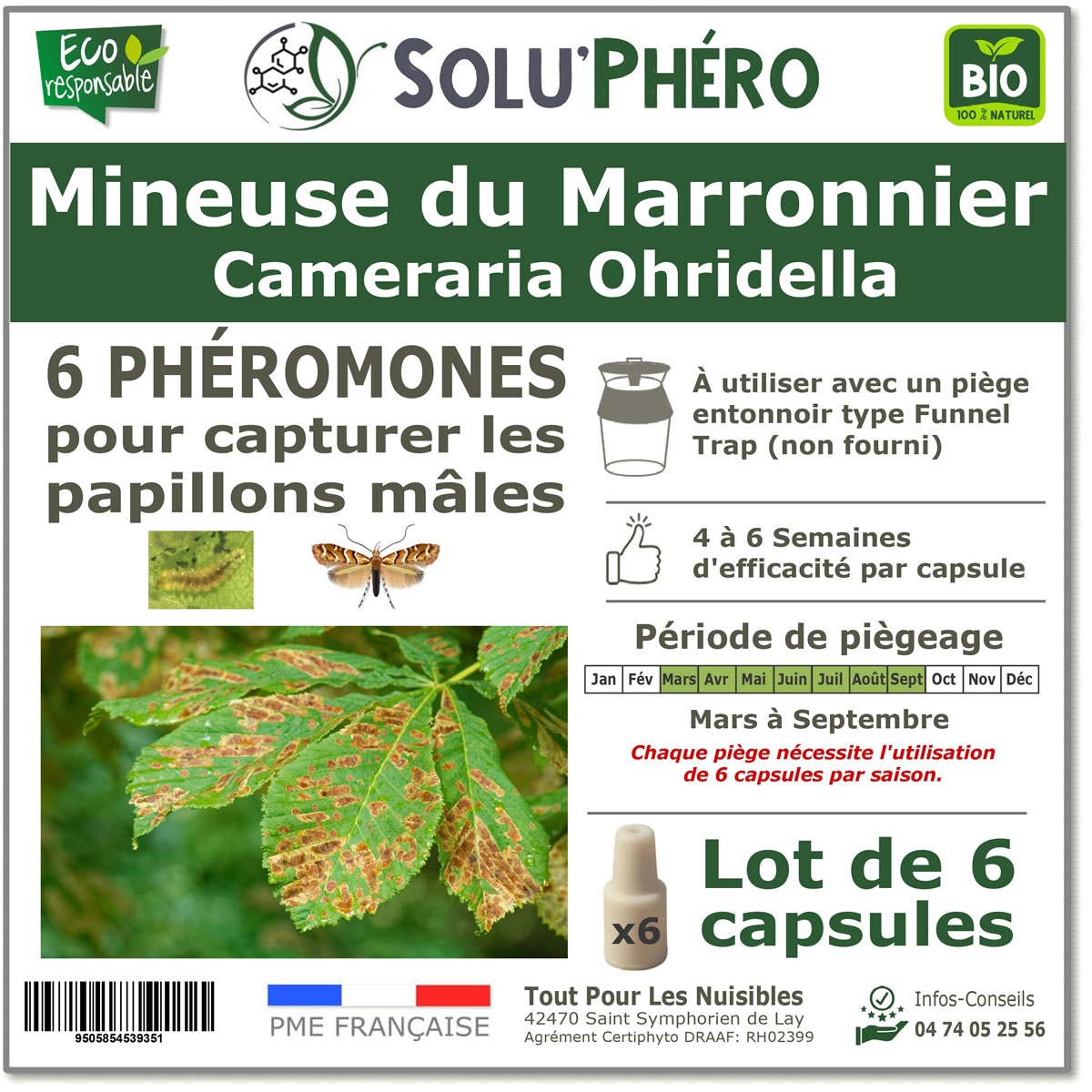 Soluphero - Phéromone mineuse marronnier par 6