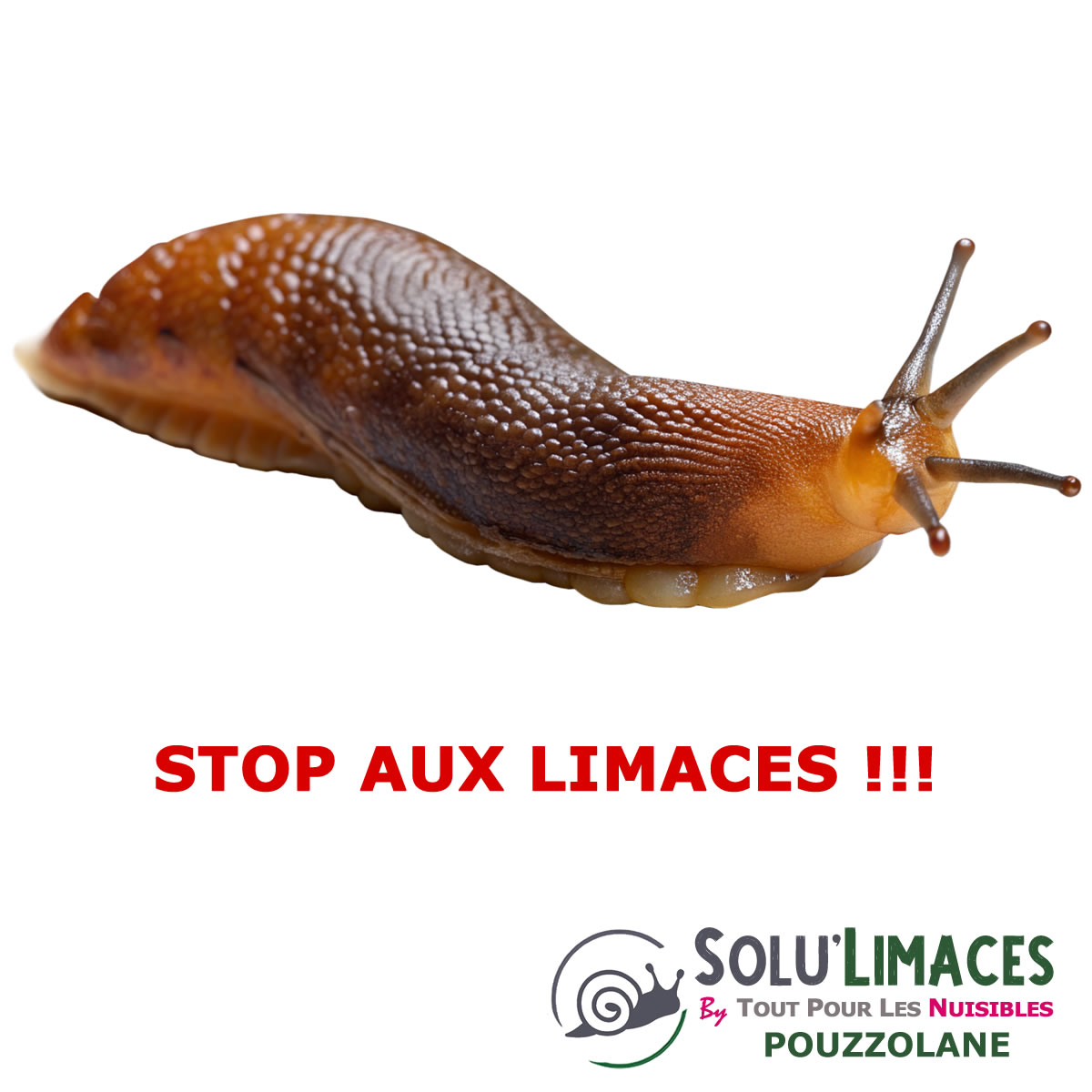 Limace Pouzzolane barrière Anti Limaces, Escargots et autres gasteropodes, SOLU'LIMACES