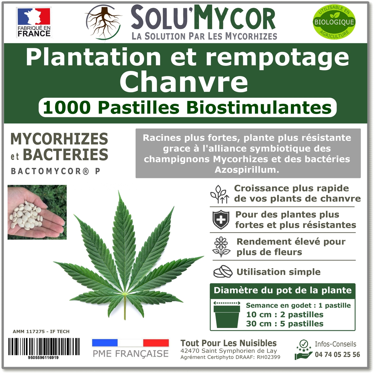 Comprimés biostimulants, SOLU'MYCOR Chanvre - 1000 pastilles