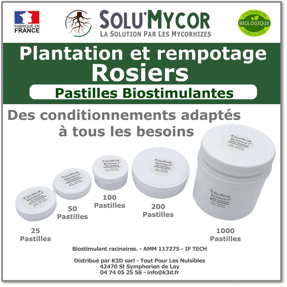 Gamme SoluMycor Pastilles Bio-stimulantes