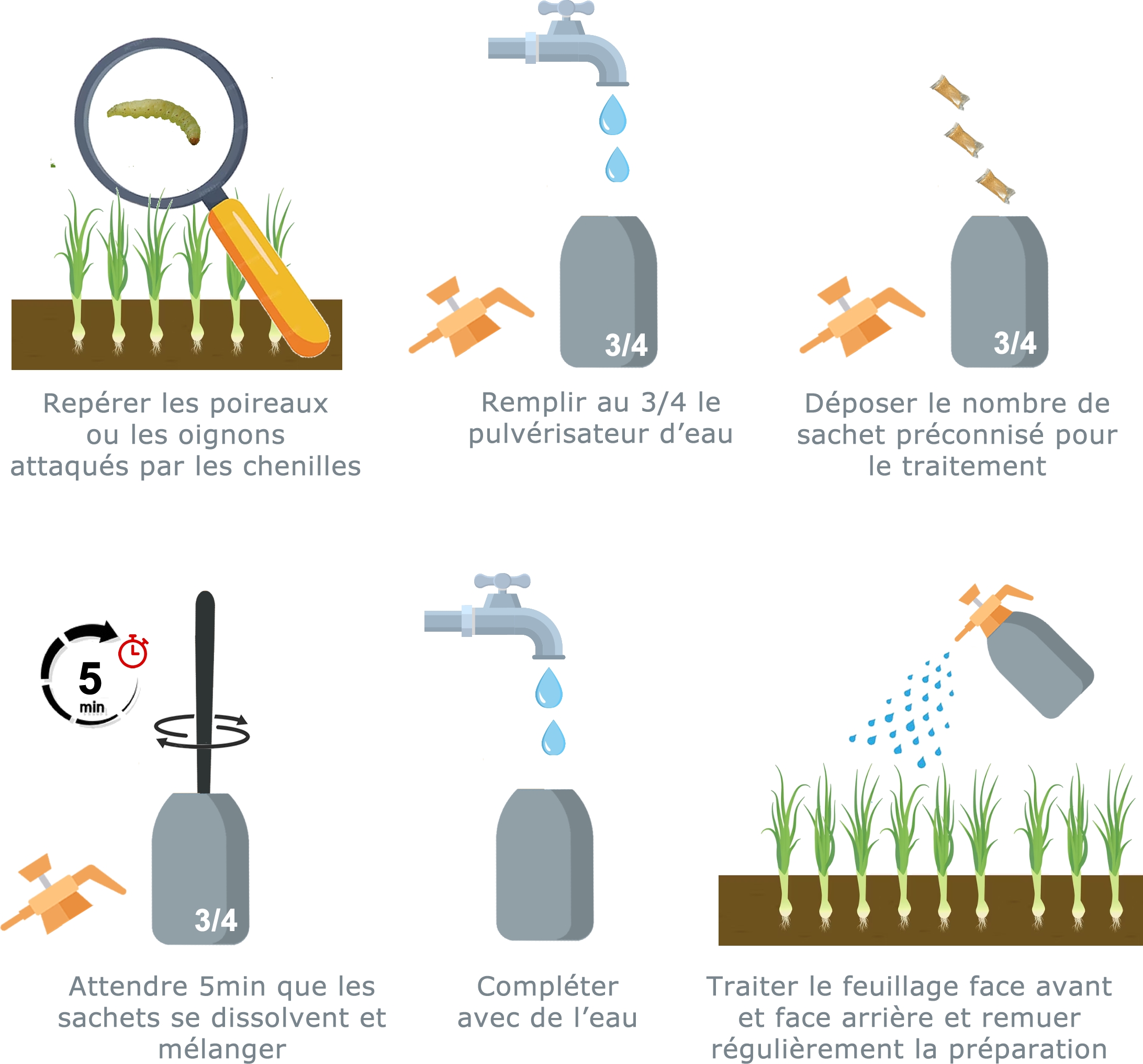 Schéma taitement BTK chenille processionnaire du chêne