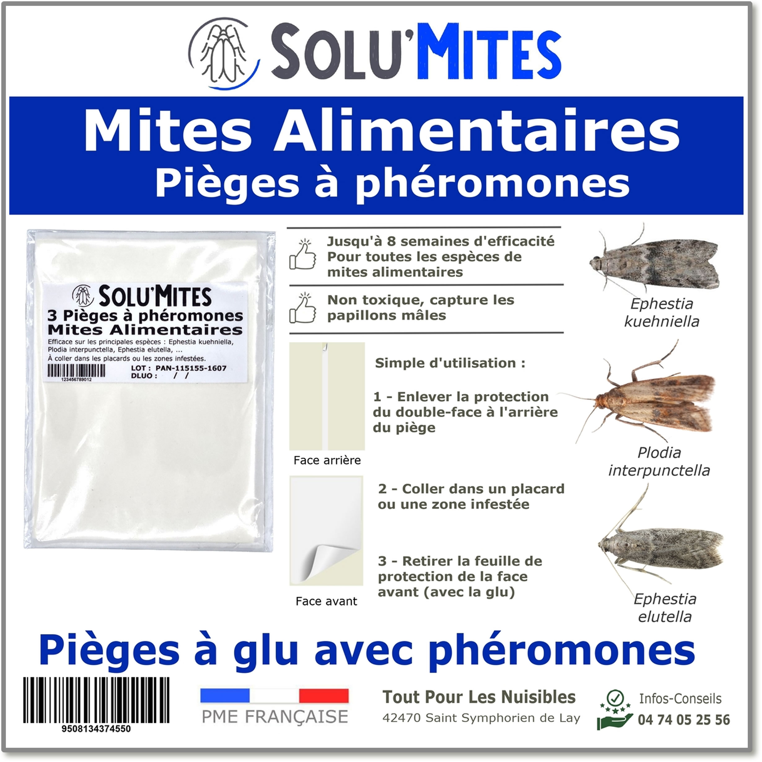 Master Pièges pour les mites alimentaires