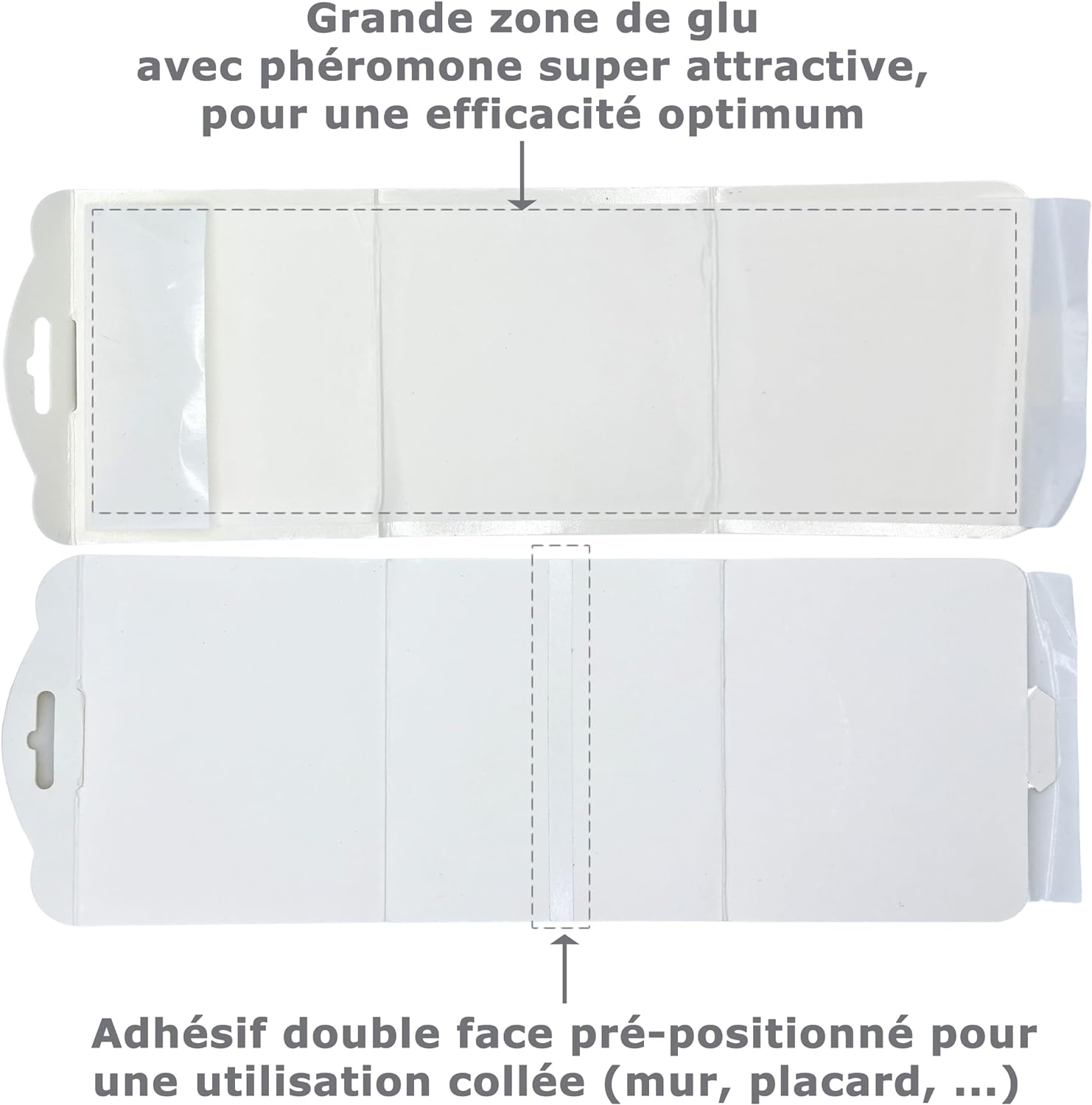 Piège à mites des vêtements à plat