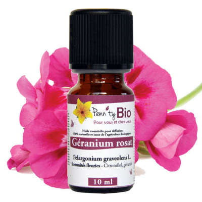 Géranium rosat d'Egypte Bio - Sommités fleuries - Huile essentielle Penntybio - Flacon de 10 ml