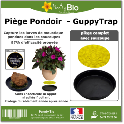 Guppytrap - Piège à larves de moustiques écologique pour plante en pot