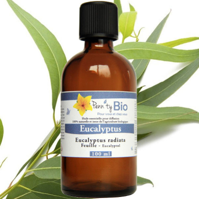 Eucalyptus radiata Bio - Feuilles - Huile essentielle Penntybio 100 ml