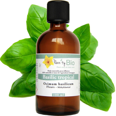 Basilic Bio - Plante fleurie – Huile essentielle Penntybio - 100 ml