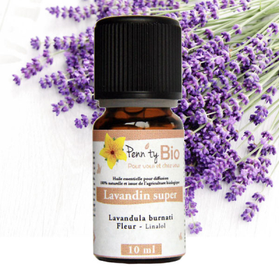 Lavandin super Bio - Plante fleurie - Huile essentielle Penntybio 10 ml