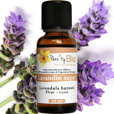 Lavandin super Bio - Plante fleurie - Huile essentielle Penntybio 30 ml