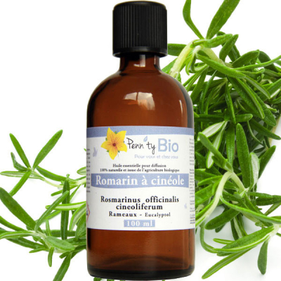 Romarin à Cinéole Bio - Rameaux - Huile essentielle