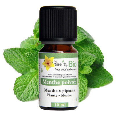 Menthe poivrée Bio - Plante - Huile essentielle Penntybio 10 ml