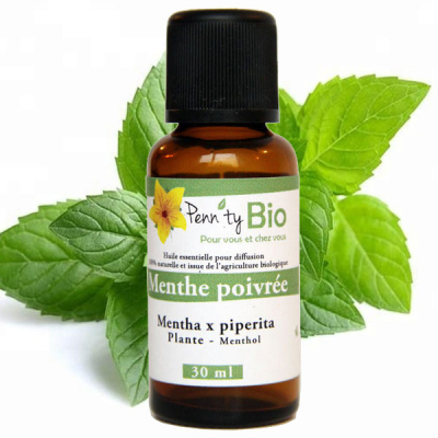 Menthe poivrée Bio - Plante - Huile essentielle Penntybio 30 ml