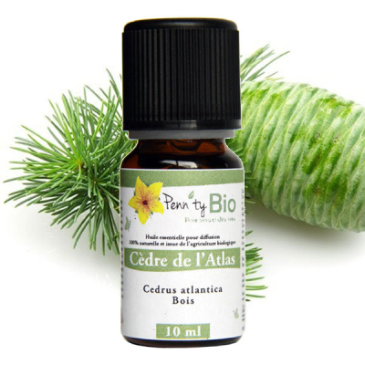 Cèdre Atlas Bio - Bois - Huile essentielle Penntybio - 10 ml