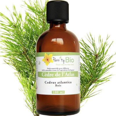 Cèdre Atlas Bio - Bois - Huile essentielle Penntybio - 100 ml