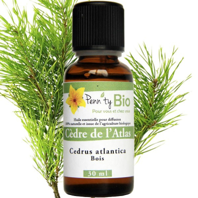 Cèdre Atlas Bio - Bois - Huile essentielle Penntybio - 30 ml