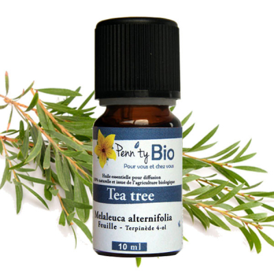 Tea tree Bio - Feuille - Huile essentielle Penntybio 10 ml