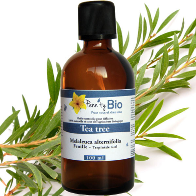Tea tree Bio - Feuille - Huile essentielle Penntybio 100 ml