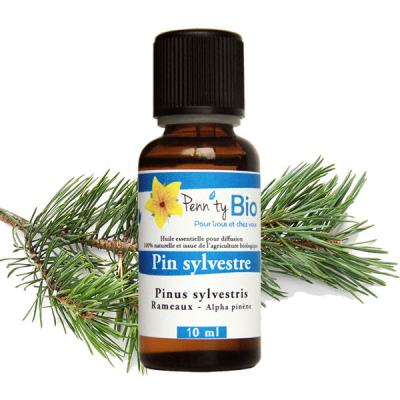 Pin sylvestre Bio - rameaux - Huile essentielle Penntybio 10 ml