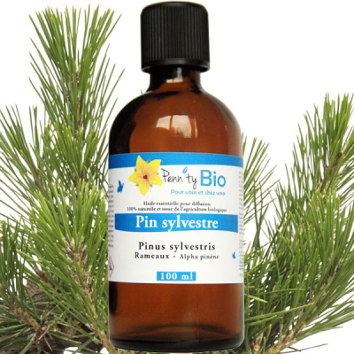 Pin sylvestre Bio - rameaux - Huile essentielle Penntybio 100 ml