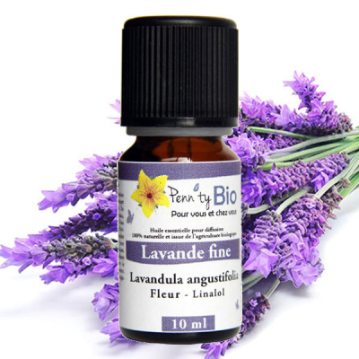 Lavande Bio - Plante fleurie - Huile essentielle Penntybio 10 ml