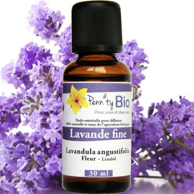 Lavande Bio - Plante fleurie - Huile essentielle Penntybio 30 ml