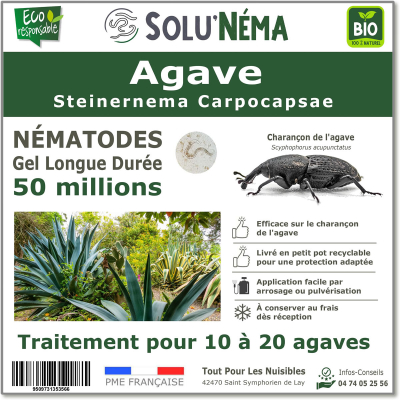 Nématode SC - 5 millions - 10 à 20 agaves