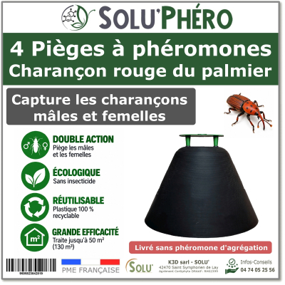 Piège à phéromone pour charançon rouge du palmier, PALMA TRAP sans attractif - Phéromone
